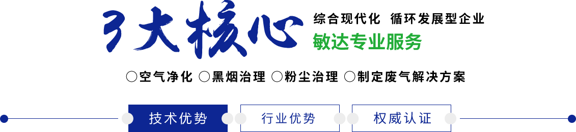 爆操嫩逼内射敏达环保科技（嘉兴）有限公司